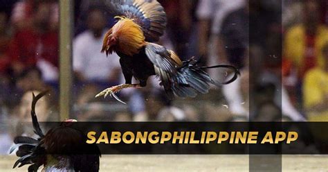 acf sabong app|Guide to Download Sabong Philippines Mobile App .
